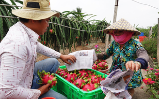 Doanh nghiệp nông sản Việt được đào tạo miễn phí về sản xuất bền vững