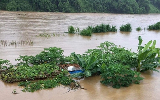 Lũ sông Hồng ở Lào Cai vượt báo động 1, cảnh báo không đánh cá, vớt củi