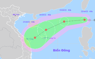 Áp thấp nhiệt đới có gió giật cấp 8 đã đi vào Biển Đông