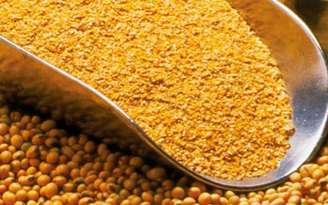 Bộ Nông nghiệp nêu lý do xin giảm thuế nhập khẩu khô đậu tương về 0%