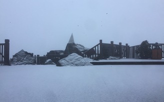 Mưa tuyết rơi dày trên đỉnh Fansipan