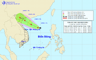 Quảng Ninh đến Khánh Hòa sẵn sàng ứng phó áp thấp nhiệt đới trên Biển Đông