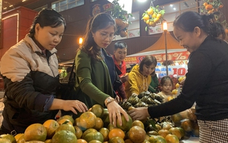 Cam sành, đặc sản cao nguyên đá Hà Giang 'chào sân' Hà Nội