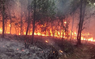 6 vụ cháy rừng liên tiếp xảy ra trong 1 ngày ở Trung bộ