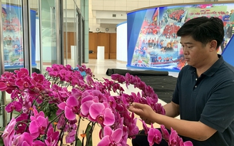 1.000 chậu hoa lan khởi nghiệp khoe sắc tại Đại hội Hội LHTN Việt Nam