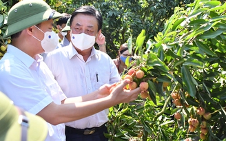 Bộ trưởng Lê Minh Hoan: Nền nông nghiệp mù mờ dẫn đến phải giải cứu nông sản