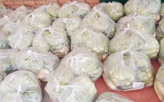 Nông sản combo 10 kg/túi giá 100.000 đồng ở TP.HCM: Giao hàng qua tổ ‘Đi chợ hộ’