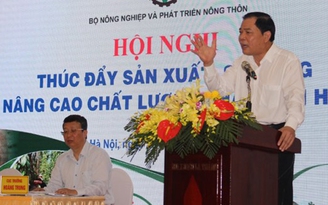 Hàn Quốc đang nhập khẩu nhiều nhất phân bón hữu cơ từ Việt Nam