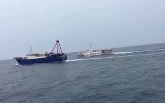 222 tàu cá nước ngoài vi phạm vùng biển Việt Nam bị kiểm ngư xua đuổi