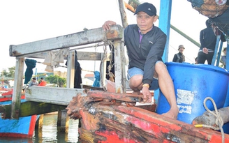 Tàu cá Quảng Nam bị đâm va hư hỏng nặng trên vùng biển Hoàng Sa