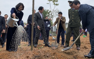 Phó chủ tịch nước kêu gọi người dân cả nước trồng cây, bảo vệ rừng