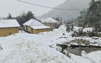 Lào Cai: Tuyết rơi dày đặc Y Tý, nhiều gia súc chết rét ở Sa Pa