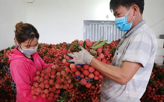 Rau quả Việt Nam xuất khẩu sang Mỹ tăng mạnh trong 6 tháng đầu năm