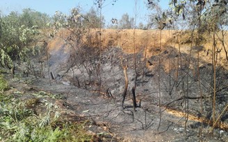 Huy động gần 1.700 người dập lửa cứu rừng đặc dụng Sóc Sơn