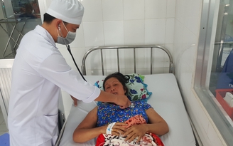 Cả nhà bị ong đốt, 2 người tử vong, 3 người bị thương nặng