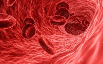 Ngày mới với tin tức sức khỏe: Protein này trong máu làm tăng 76% mắc tiểu đường