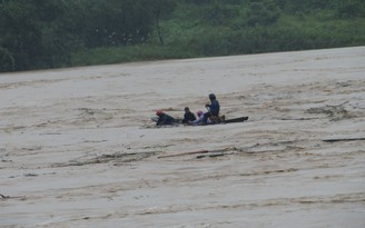 Lũ cuốn gỗ lạ trên rừng về, nhiều người lao ra giữa dòng chụp lấy