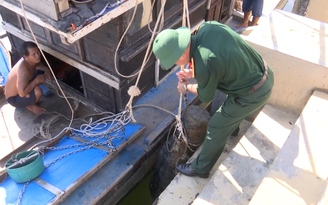 Phát hiện quả ngư lôi nặng 240 kg ngay cửa biển Cửa Việt