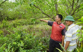 Quảng Trị: Cảnh cáo phó chủ tịch Gio Linh vì 'vi phạm nghiêm trọng luật Đất đai'