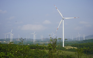 Nhiều dự án điện gió ở Quảng Trị vội vã thi công dù thủ tục chưa xong