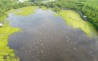 Quảng Trị: hàng trăm người lội bùn bắt cá trong lễ hội phá trằm Trà Lộc