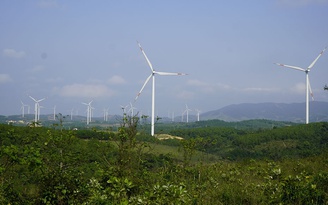 Hàng loạt dự án điện gió chậm tiến độ