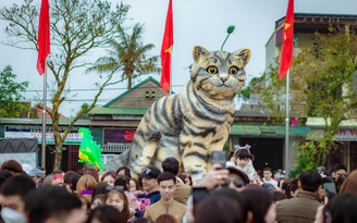 Mùng 6 Tết, ‘hoa hậu Mèo’ ở Quảng Trị vẫn chưa hết nóng