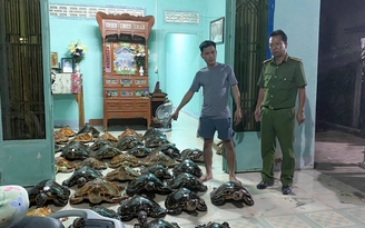 Tây Ninh: Bắt quả tang vụ mua bán trái phép 39 cá thể đồi mồi