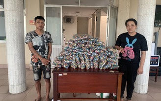 Vận chuyển 22 kg pháo lậu từ Campuchia về Việt Nam bán kiếm lời mua ma túy