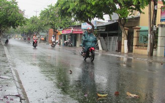 Cơn mưa 'cứu khát' cho hơn 100.000 ha cây trồng