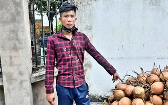 Bến Tre: Chặt trộm 600 trái dừa tươi đem đi bán, bị công an tạm giữ