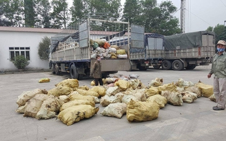 Ngăn chặn hơn 1,7 tấn mỡ và da động vật thối tuồn ra thị trường