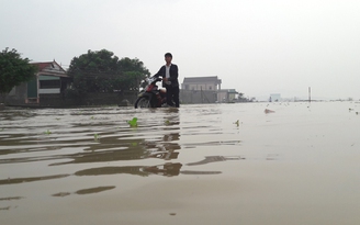Quốc lộ 7 ở Nghệ An ngập sâu, giao thông tê liệt