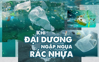 Khi đại dương ngập ngụa rác nhựa