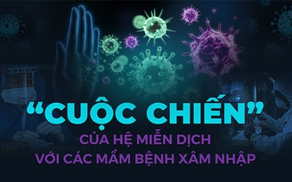 'Cuộc chiến' của hệ miễn dịch với các mầm bệnh xâm nhập
