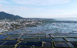 Chấp thuận đề xuất xây khu đô thị hơn tỉ USD ven vịnh Cam Ranh