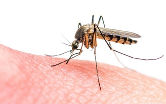 Top 4 kem trị thâm muỗi đốt lành tính hiện nay