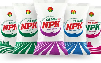 NPK một hạt giúp kiến tạo giá trị bền vững cho nông sản Việt