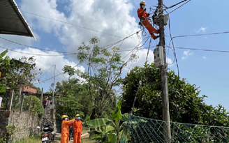Đẩy nhanh tiến độ hoàn thành các công trình cấp điện trên địa bàn Phú Yên Đẩy nhanh tiến độ hoàn thành các công trình cấp điện trên địa bàn Phú Yên