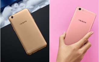 Bất ngờ khách hàng đặt mua OPPO F3 được tặng 500.000 đồng