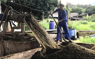 Nông dân nuôi bò sữa Mộc Châu làm dây chuyền xử lý chất thải tự động