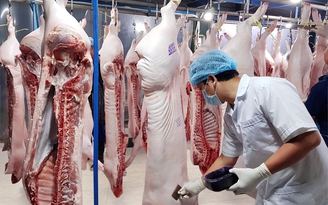 MM Mega Market tăng sản lượng thịt heo VIETGAHP lên hơn 250 tấn