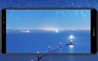 Biến Giáng sinh năm nay thật khác biệt với sắc xanh
