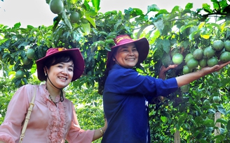 Khởi động hành trình nông nghiệp công nghệ cao Khởi động hành trình nông nghiệp công nghệ cao