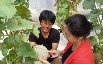 Hợp tác cùng chuyên gia Nhật làm nông nghiệp tại Đắk Lắk