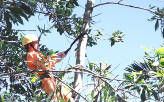 Phát quang hành lang tuyến Sơn Hà đợt 2