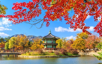 Tặng vé tàu KTX cho khách đặt tour Hàn Quốc tuyến Seoul - Busan