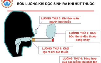 Nồng độ độc chất cao từ khói thuốc lá