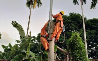 PC Quảng Nam: 3 giờ khắc phục sự cố chặt cây làm gãy cột trung thế