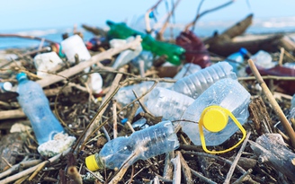Khủng hoảng ô nhiễm nhựa dùng một lần: Đâu là hướng giải quyết?